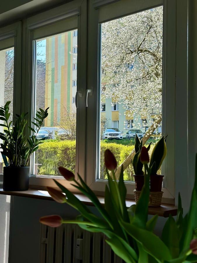 Uroczy apartament - Sopot Brodwino  Zewnętrze zdjęcie